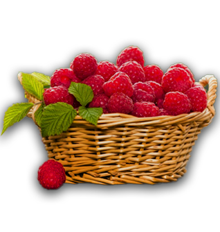 Koszyk malin