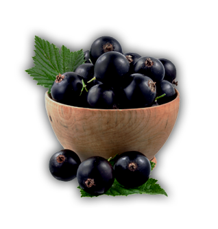 Koszyk czarnych porzeczek